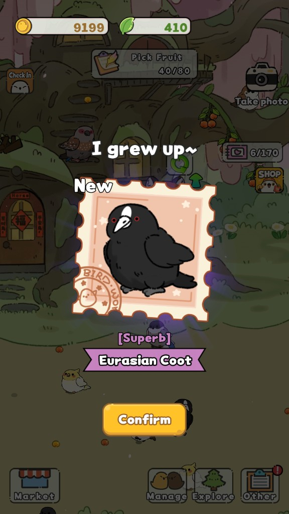 BirdFun new bird discovery